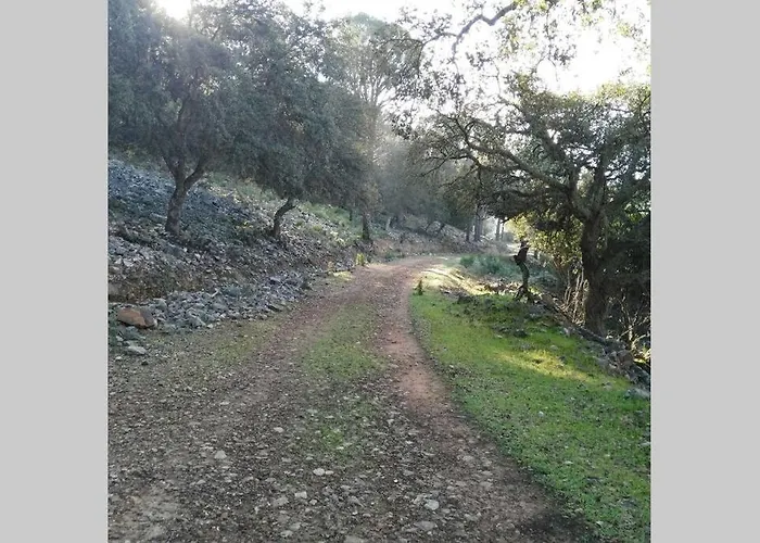 Дом отдыха Casa Cijararural Пантано-де-Сихара